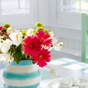 �{�Gɫ������� ��ˬ����Ҿ�