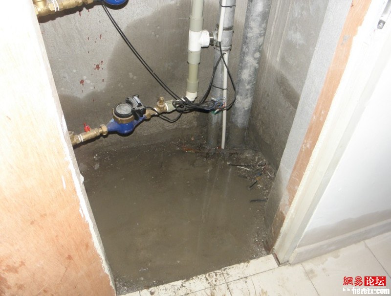 W(xu)c(din)̝!ܵ(yn)յķcR