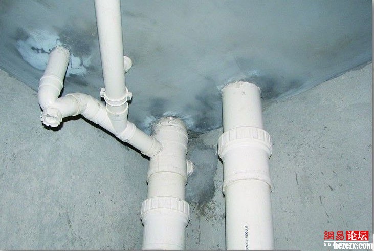 W(xu)c(din)̝!ܵ(yn)յķcR