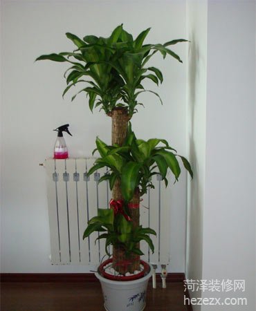 �Ҿӿ����Ƀ��䌍Ҫ����